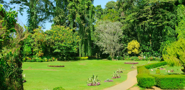 Garden Landscape Design Ideas