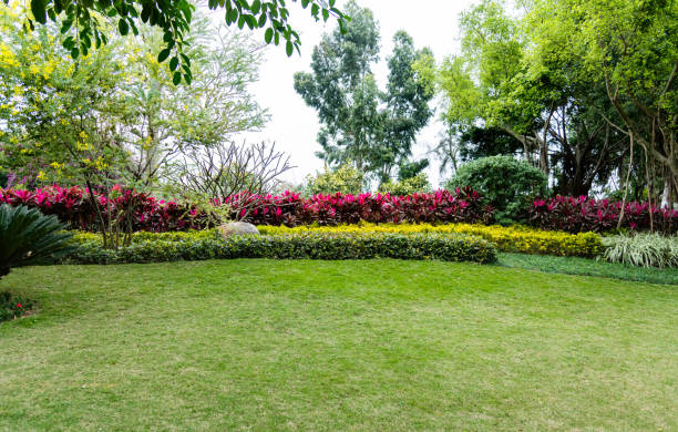 Garden Landscape Design Ideas
