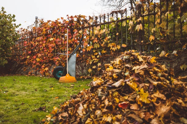 Garden Waste Removal Dublin