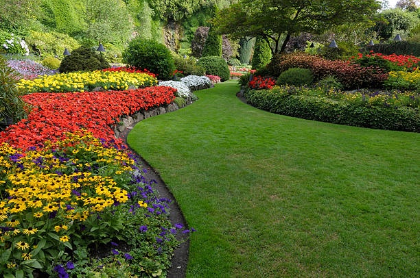 Garden Landscape Design Ideas Dublin
