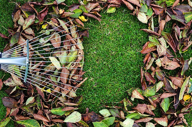 Garden Waste Removal Dublin