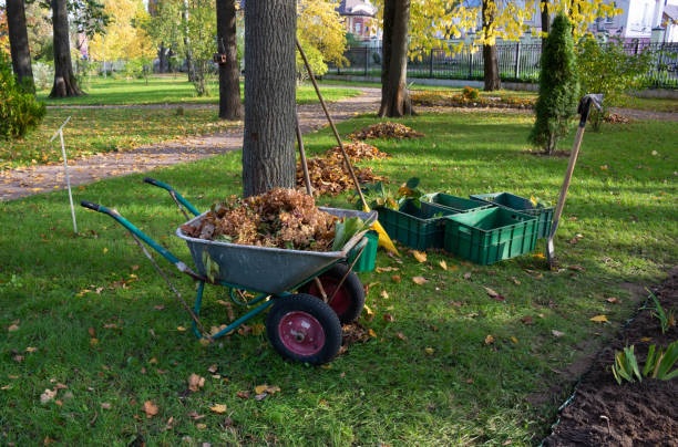 Garden Waste Removal Dublin