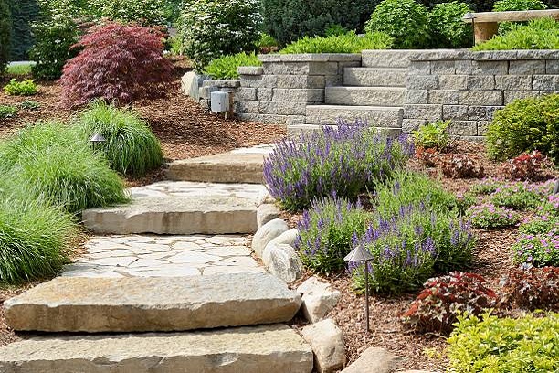 Garden Landscape Design Ideas Dublin