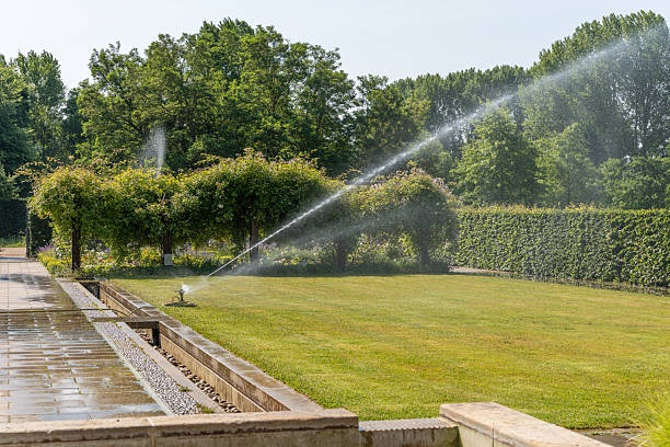 Garden Landscape Design Ideas Dublin