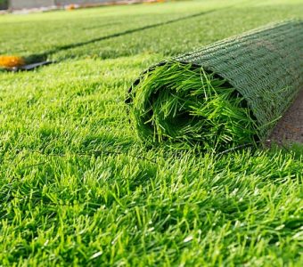 Garden Landscape Design Ideas Dublin