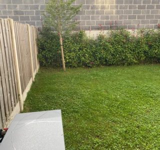 Garden Clearance Services Dublin